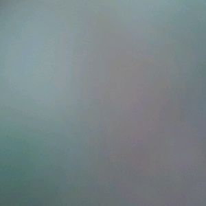 Meet your Posher, Griselda